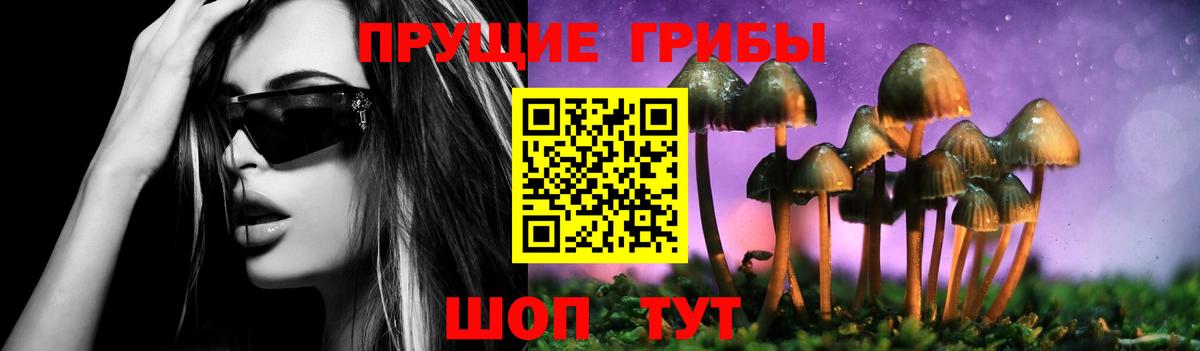 Псилоцибиновые грибы MAGIC MUSHROOMS Реж